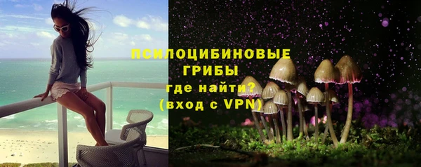 тгк Карпинск